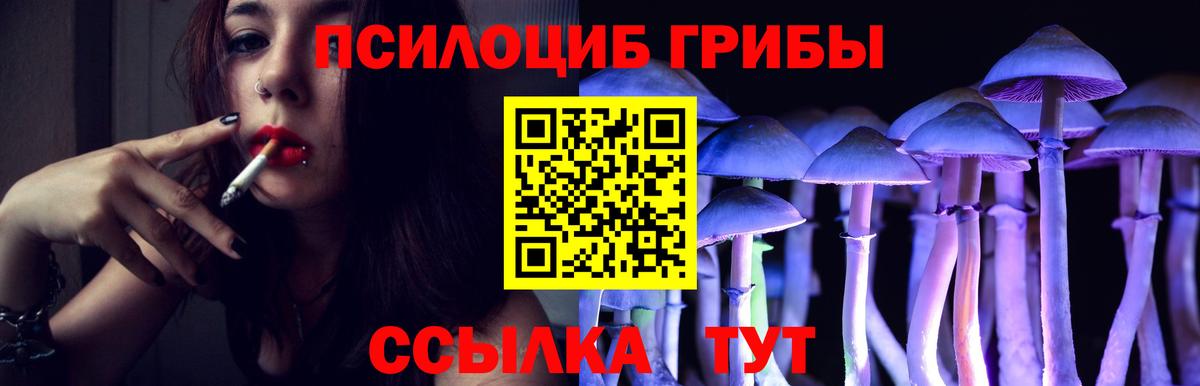 Псилоцибиновые грибы Psilocybine cubensis Аша